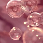 Kép 5/5 - Bioderma Cicabio krém+ 100ml