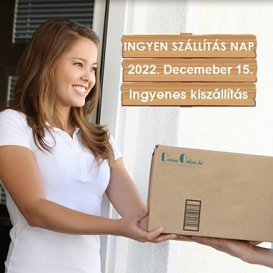 Karácsonyi ingyen szállítás nap, hogy még időben odaérjen az ajándék